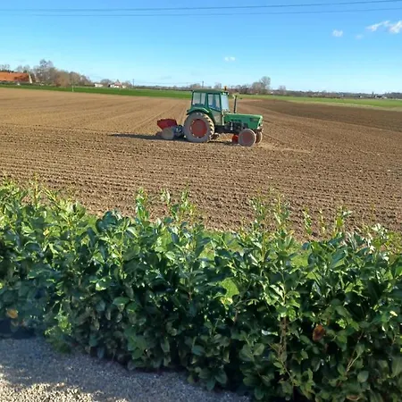 Apartamento Roulotte Et Sauna De Tonton Bouvy Au Domaine Du Reuze Winnezeele